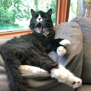 Meet your Posher, Lynn